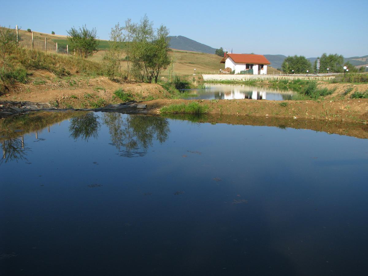 Park Hotel Eagle Stone Koprivshtitsa Buitenkant foto